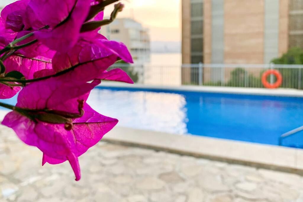 Balcon Al Mediterraneo Y Skyline De Benidorm